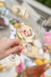 Schott Zwiesel Rose' All Day Wine Glass